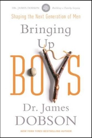 Cover of Bringing Up Boys