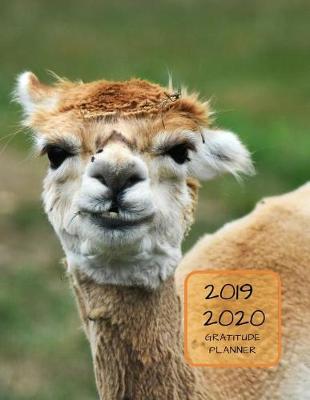 Cover of 2019 2020 15 Months Llama Gratitude Journal Daily Planner