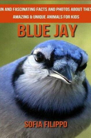 Cover of Blue Jay