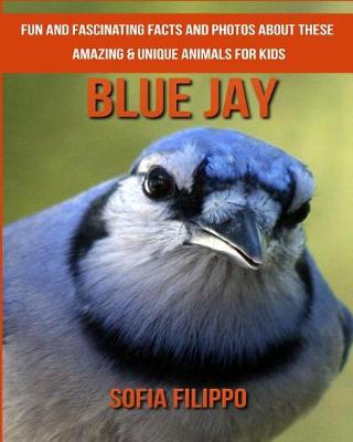 Book cover for Blue Jay