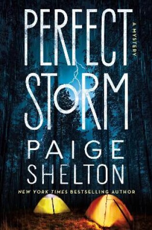 Cover of Perfect Storm