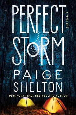 Cover of Perfect Storm