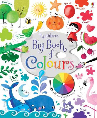 Book cover for Big Book of Colours