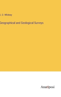 Book cover for Geographical and Geological Surveys