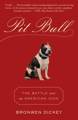 Book cover for Pit Bull