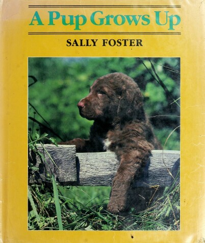 Book cover for A Pup Grows Up