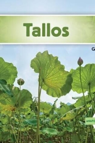 Cover of Tallos (Stems ) (Spanish Version)