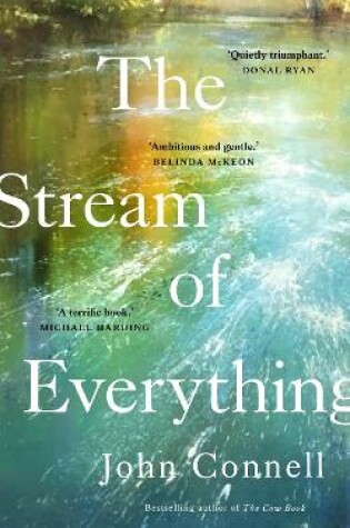 Cover of The Stream of Everything