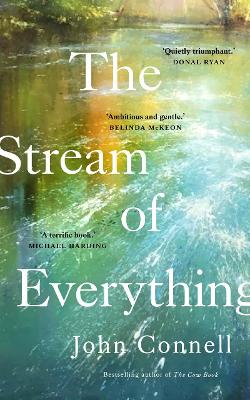 Book cover for The Stream of Everything