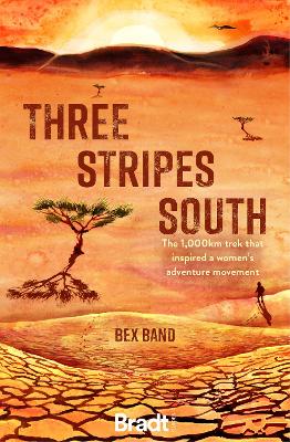 Book cover for Three Stripes South