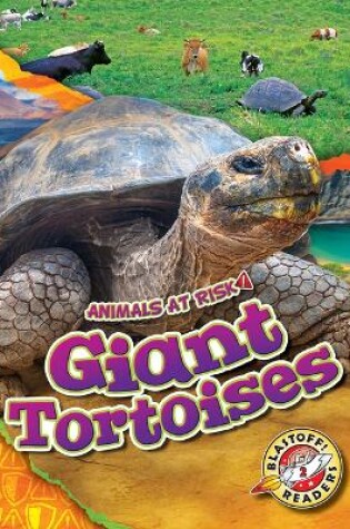 Cover of Giant Tortoises