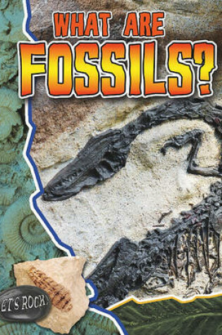 Cover of What Are Fossils?
