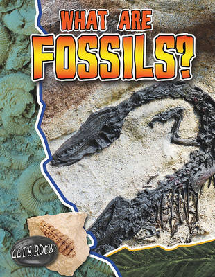 Cover of What Are Fossils?