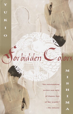 Book cover for Forbidden Colors