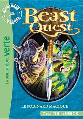 Book cover for Beast Quest 22 - Aventures Sur Mesure, Le Poignard Magique