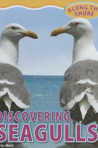 Cover of Discovering Seagulls