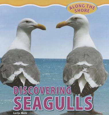 Cover of Discovering Seagulls