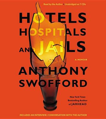 Book cover for Hotels, Hospitals, and Jails