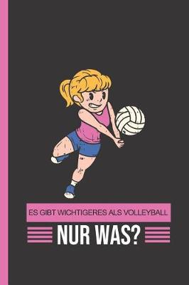Book cover for Es Gibt Wichtigeres ALS Volleyball