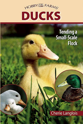 Book cover for Ducks