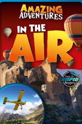 Cover of In the Air