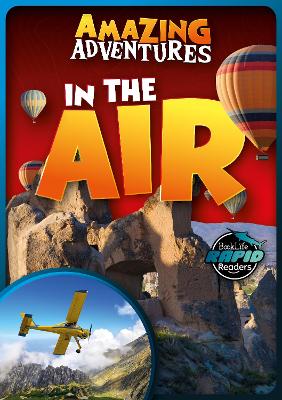 Book cover for In the Air