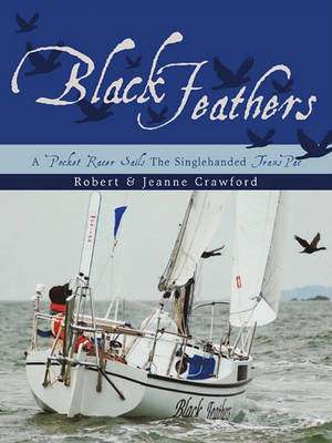 Book cover for Black Feathers