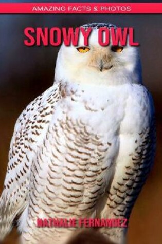 Cover of Snowy Owl