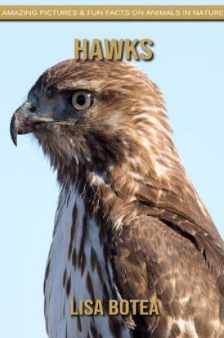 Cover of Hawks