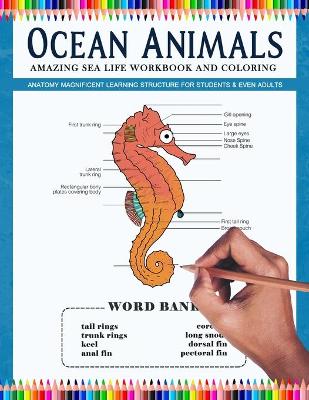 Book cover for Ocean Animals Amazing Sea Life Workbook and Coloring - Anatomy Magnificent Learning Structure for Students & Even Adults