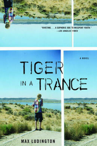 Cover of Tiger in a Trance