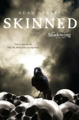 Cover of Skinned