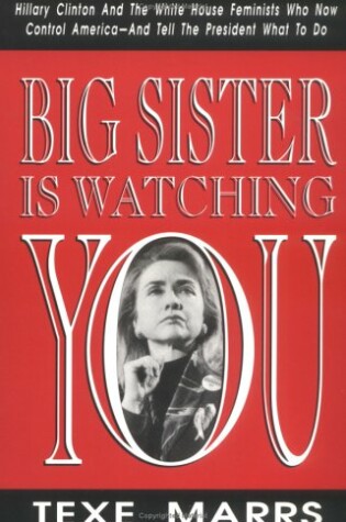 Cover of Big Sister is Watching You