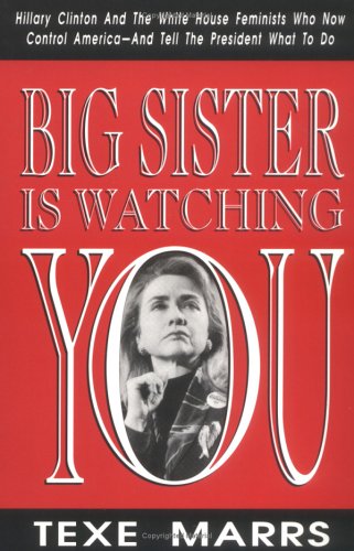 Book cover for Big Sister is Watching You