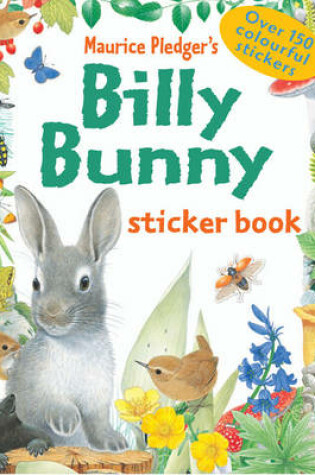 Cover of Billy Bunny Sticker Book