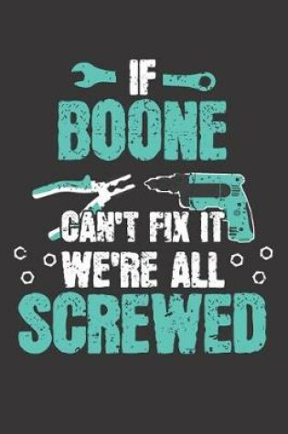 Cover of If BOONE Can't Fix It