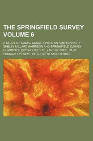 Cover of The Springfield Survey Volume 6; A Study of Social Conditions in an American City