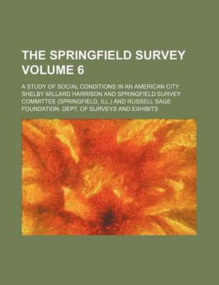 Book cover for The Springfield Survey Volume 6; A Study of Social Conditions in an American City