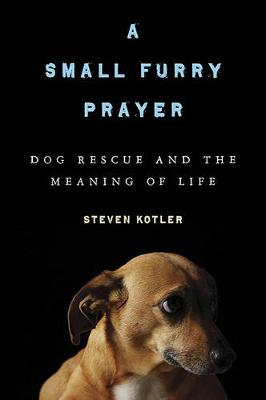 Book cover for A Small Furry Prayer