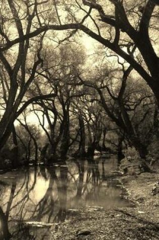 Cover of Beautiful Creek in a Small Mexican Town in Sepia