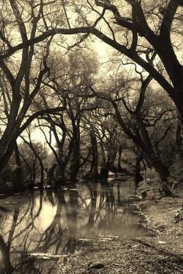 Book cover for Beautiful Creek in a Small Mexican Town in Sepia