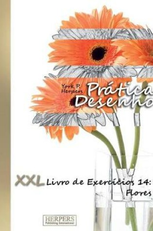 Cover of Prática Desenho - XXL Livro de Exercícios 14