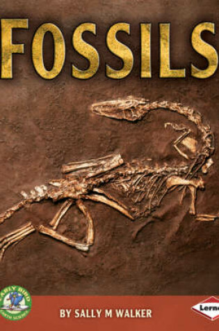 Cover of Fossils