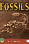 Book cover for Fossils