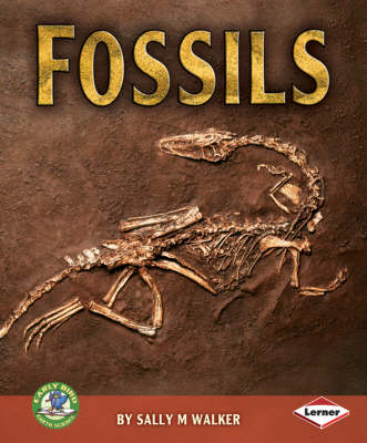 Book cover for Fossils