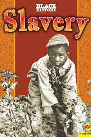 Cover of Slavery