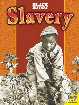 Cover of Slavery