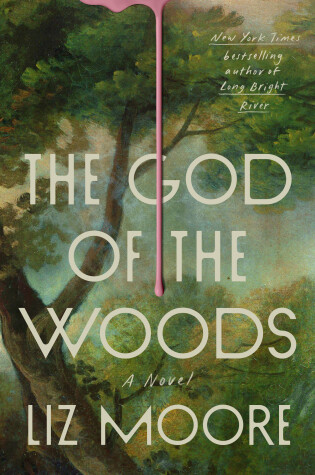 Book cover for The God of the Woods