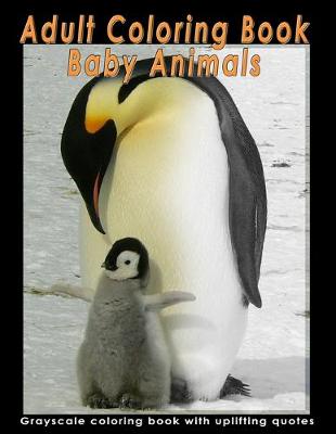 Book cover for Adult Coloring Book Baby Animals