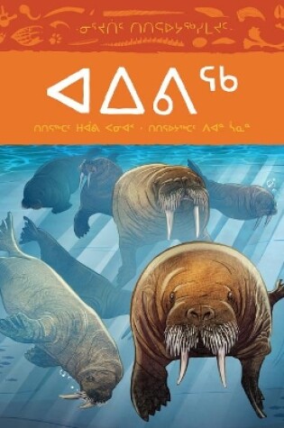 Cover of Animals Illustrated: Walrus